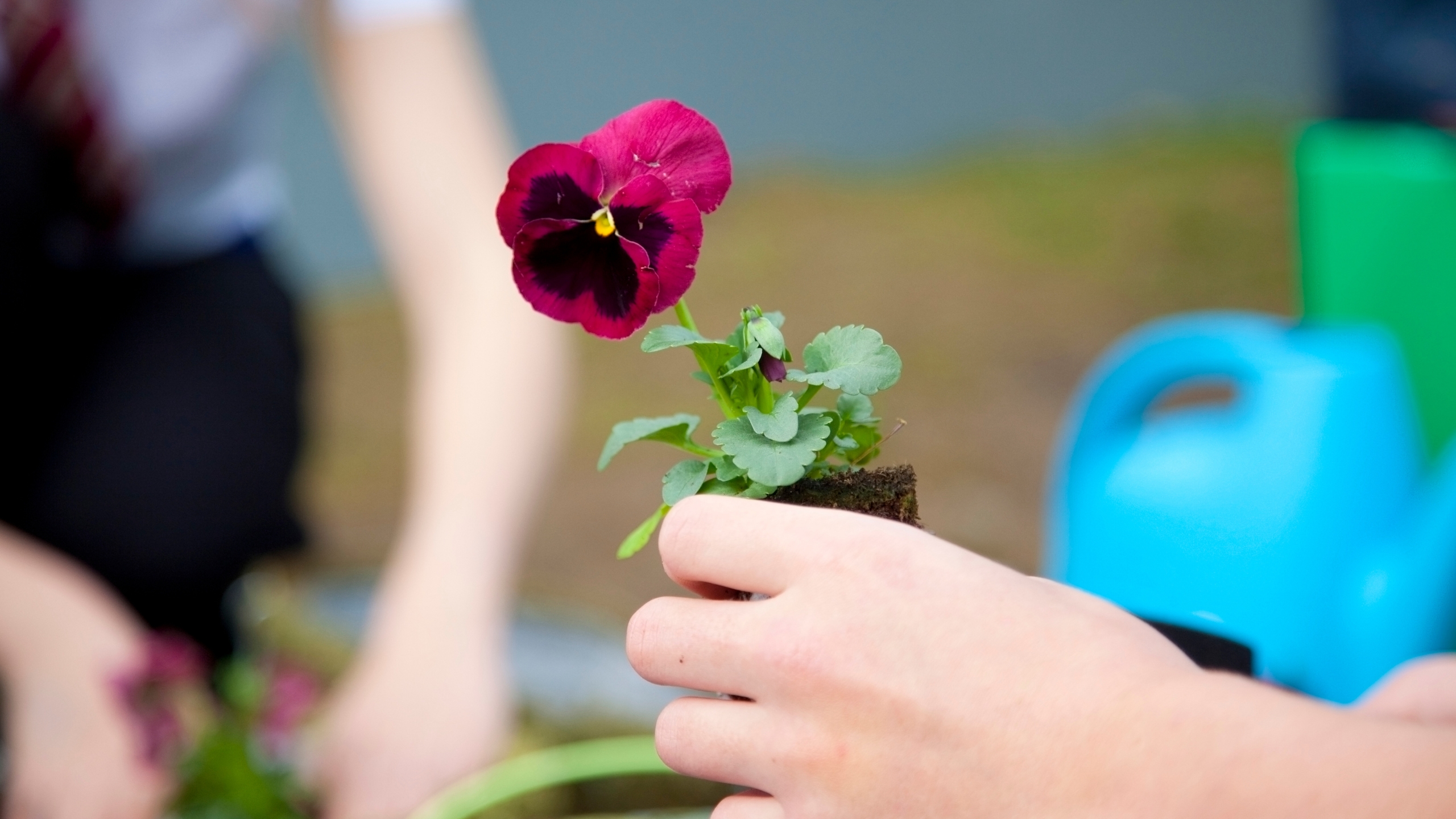 		                                		                                    <a href="https://www.betheltx.org/event/garden-club1.html"
		                                    	target="_blank">
		                                		                                <span class="slider_title">
		                                    Seeds of Serenity		                                </span>
		                                		                                </a>
		                                		                                
		                                		                            	                            	
		                            <span class="slider_description">The Seeds of Serenity Garden Club is a welcoming group of gardening enthusiasts who gather regularly to nurture the Butterfly Garden and front beds. It's a wonderful opportunity to connect with nature, enhance the temple's landscape, and enjoy fellowship with others. All are invited to join in the fun and contribute to the beauty of the surroundings.</span>
		                            		                            		                            <a href="https://www.betheltx.org/event/garden-club1.html" class="slider_link"
		                            	target="_blank">
		                            	Learn More		                            </a>
		                            		                            
