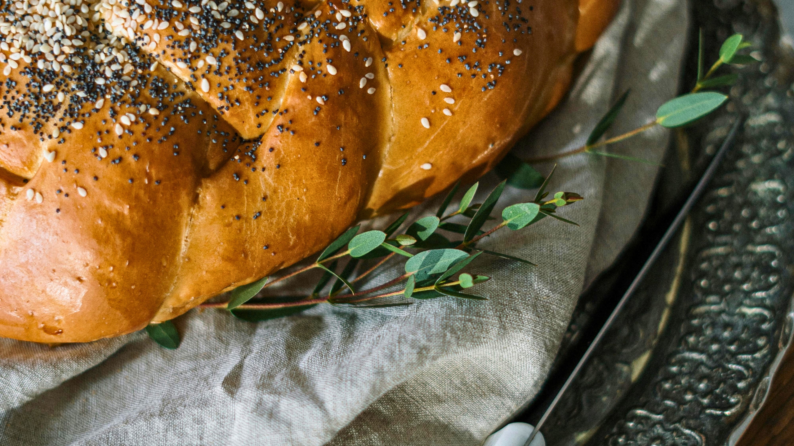 		                                		                                    <a href="https://www.betheltx.org/shabbat"
		                                    	target="_blank">
		                                		                                <span class="slider_title">
		                                    Join Us For Shabbat		                                </span>
		                                		                                </a>
		                                		                                
		                                		                            	                            	
		                            <span class="slider_description">Celebrate Shabbat in a warm and welcoming community!✨🕍 Experience uplifting prayers, inspiring Torah readings 📖, and beautiful music 🎶 that bring tradition to life. After the service, enjoy a festive oneg with delicious treats🍪☕ and great company. Whether you join in person or virtually🌍💻, it’s a wonderful opportunity to connect, reflect, and embrace the joy of Shabbat together!💙🙏</span>
		                            		                            		                            <a href="https://www.betheltx.org/shabbat" class="slider_link"
		                            	target="_blank">
		                            	Shabbat Info		                            </a>
		                            		                            