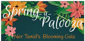 Banner Image for Ner Tamid Spring Gala!