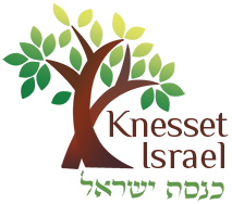 Knesset Israel